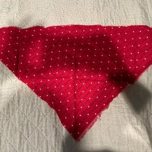Dog/Pet Love- Valentine’s Day bandana- like new!